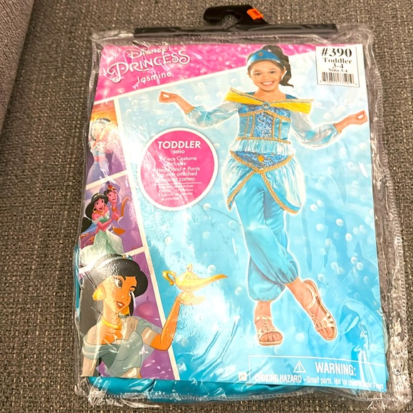 Disney Other - Princess Jasmine Disney Costume
